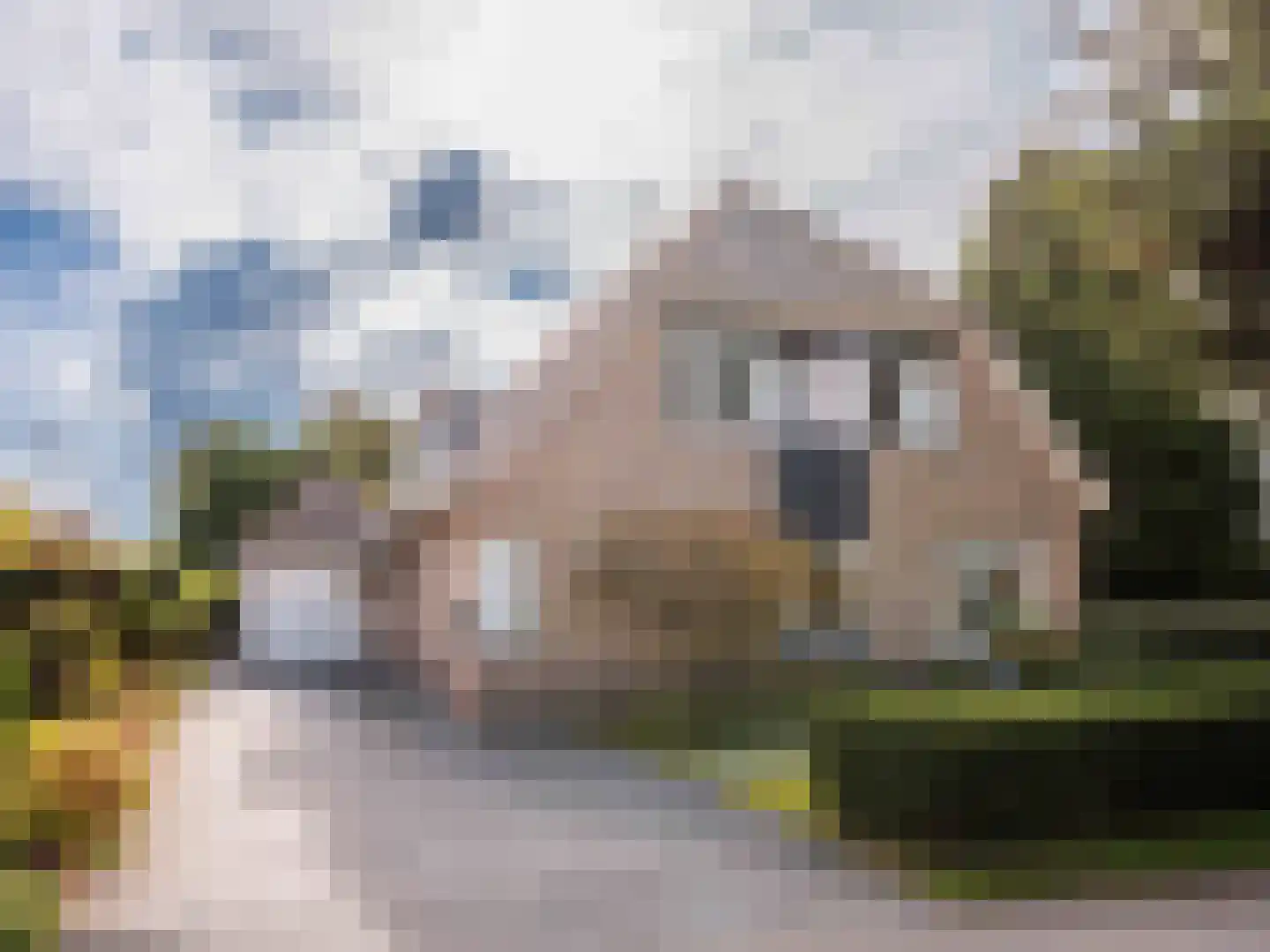 Koningsweg 5 Schoorl thumbnail 54