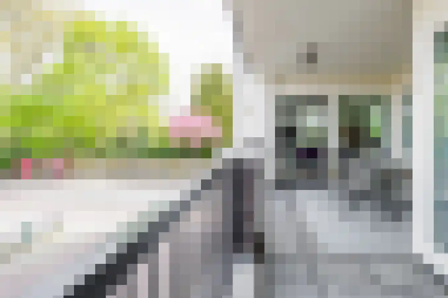 Koningsweg 5 Vriezenveen thumbnail 43