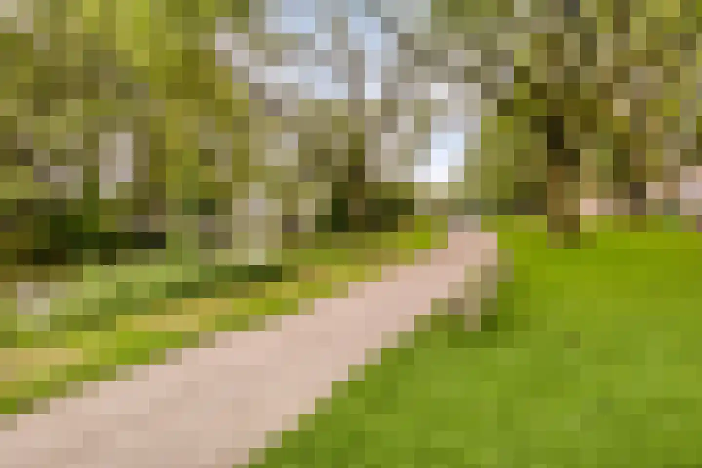 Koningsweg 51 Utrecht thumbnail 33