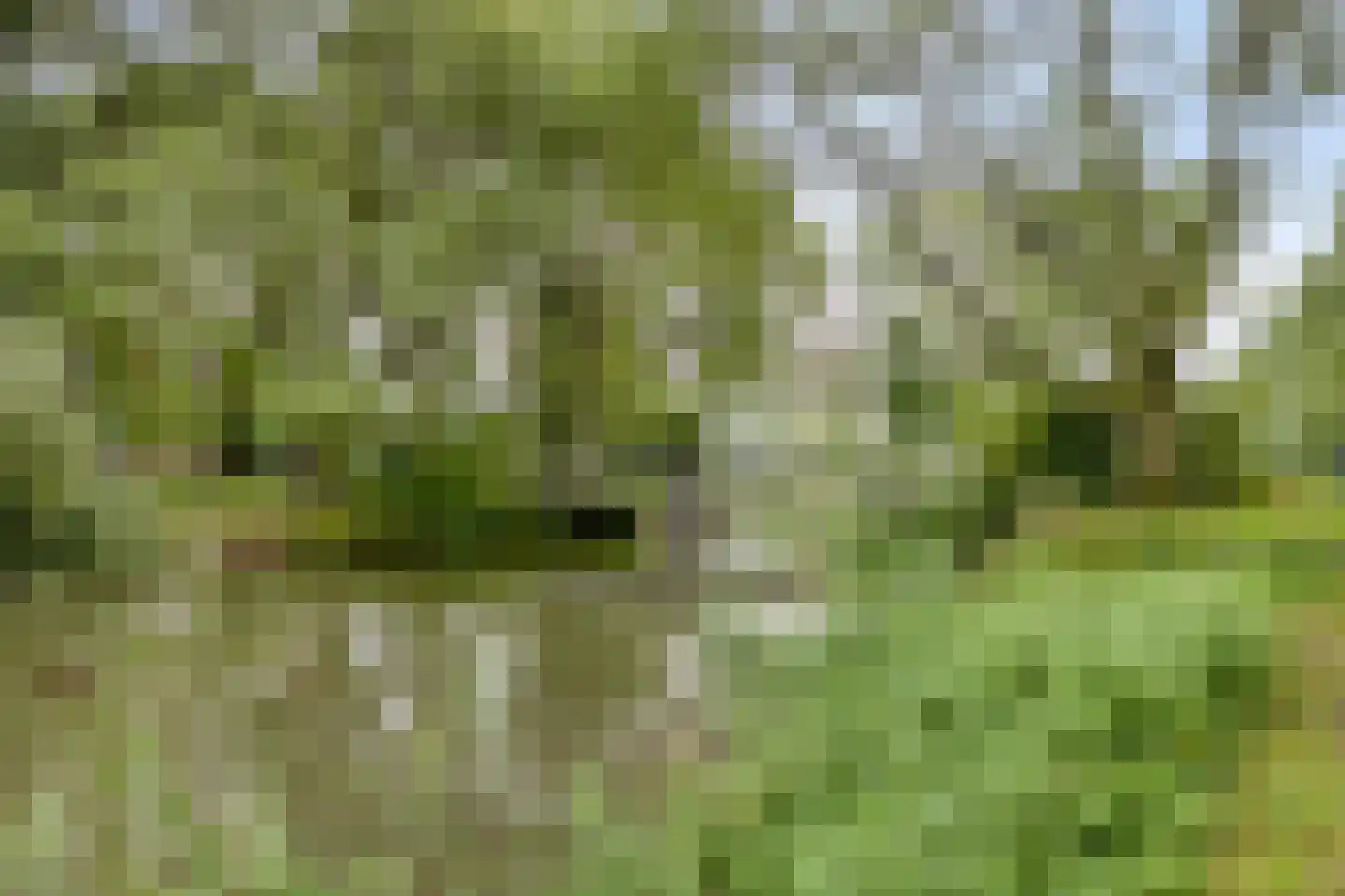 Koningsweg 51 Utrecht thumbnail 34