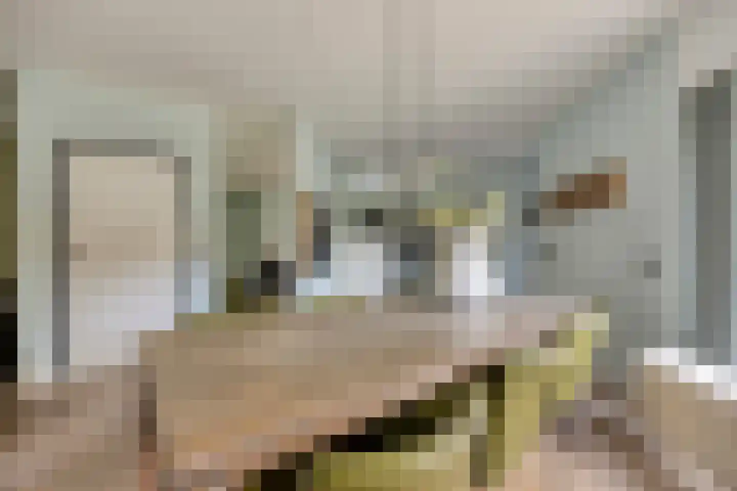 Koningsweg 53 A Puiflijk thumbnail 12