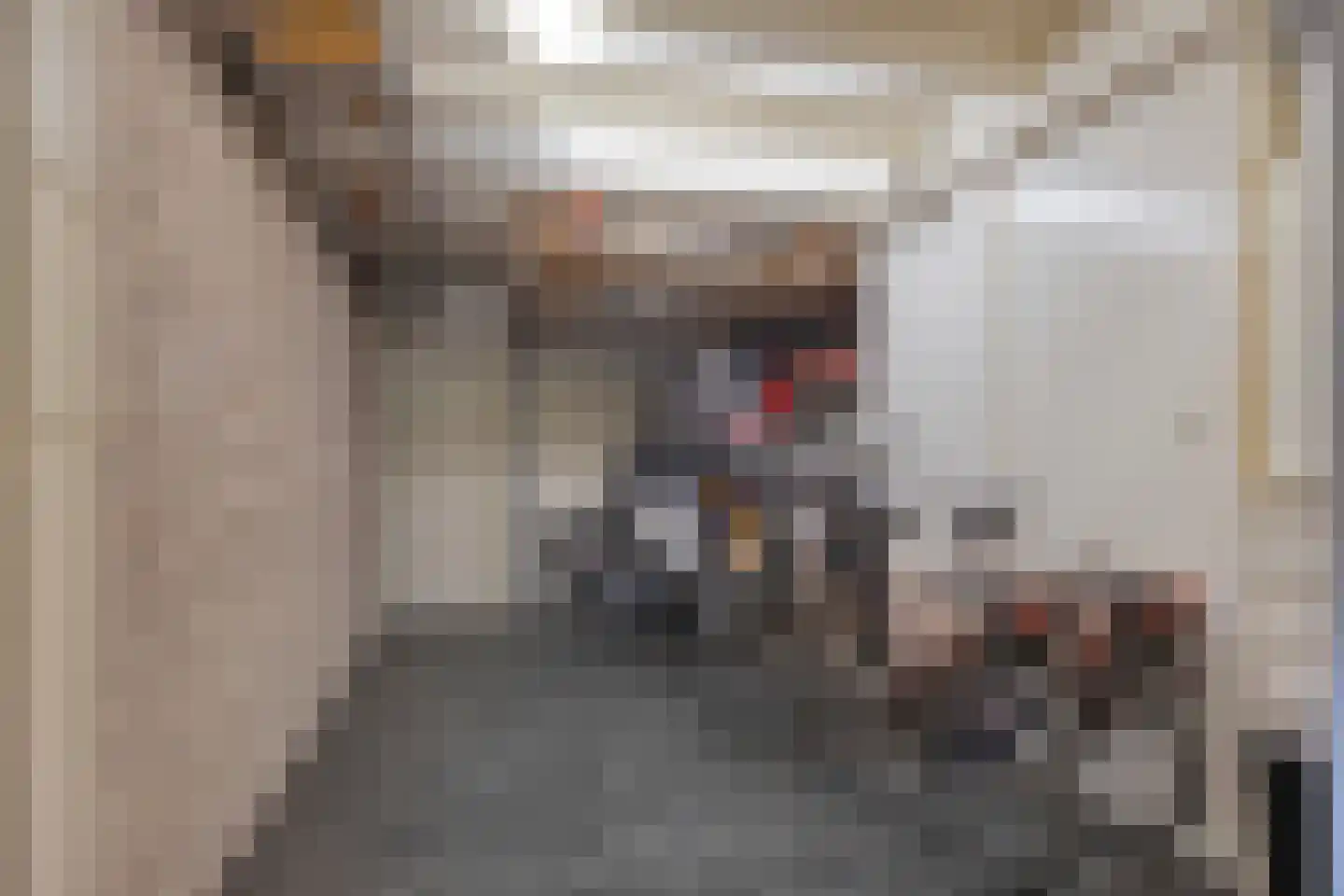 Koningsweg 53 A Puiflijk thumbnail 17