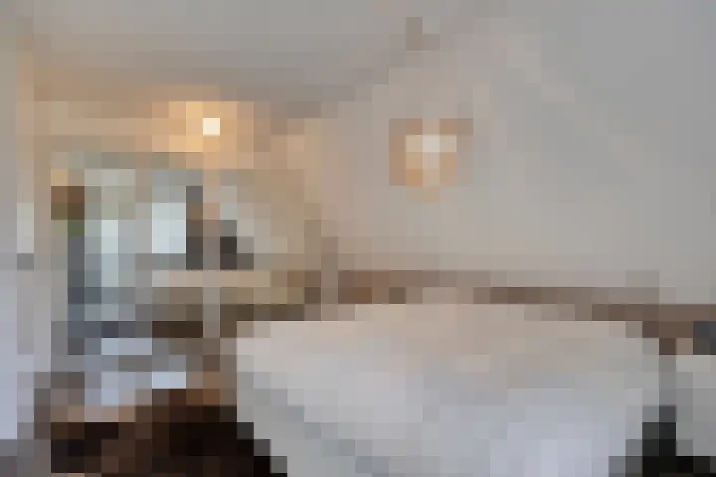Koningsweg 53 A Puiflijk thumbnail 21