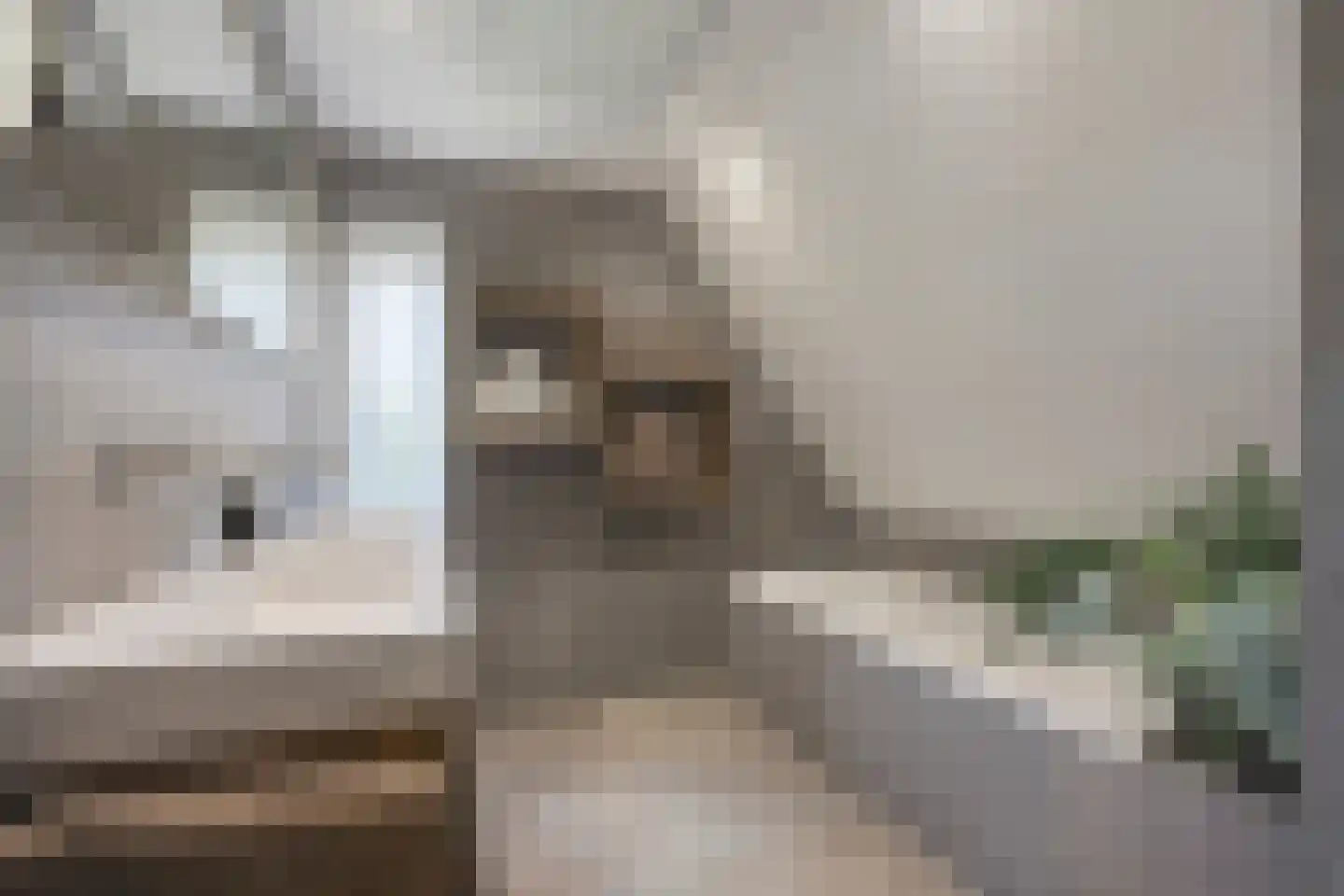 Koningsweg 53 A Puiflijk thumbnail 22