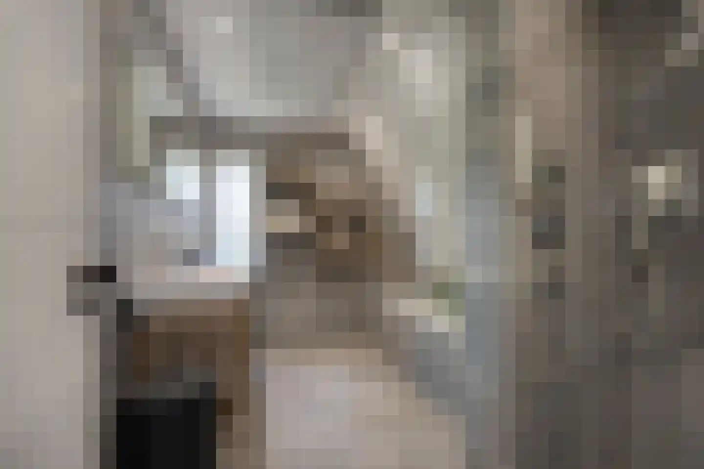 Koningsweg 53 A Puiflijk thumbnail 24
