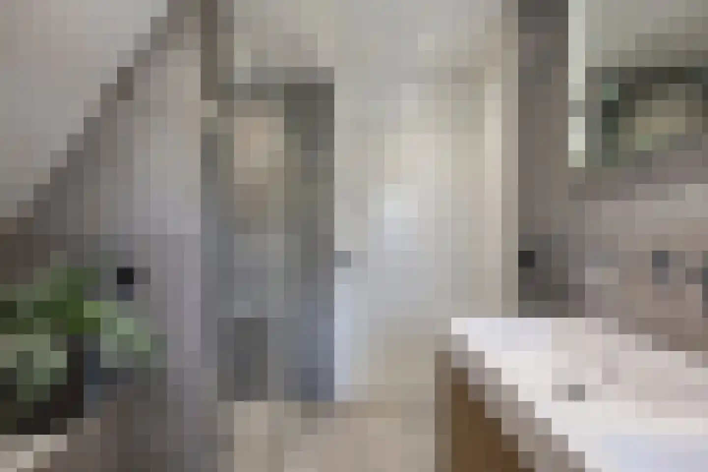 Koningsweg 53 A Puiflijk thumbnail 25