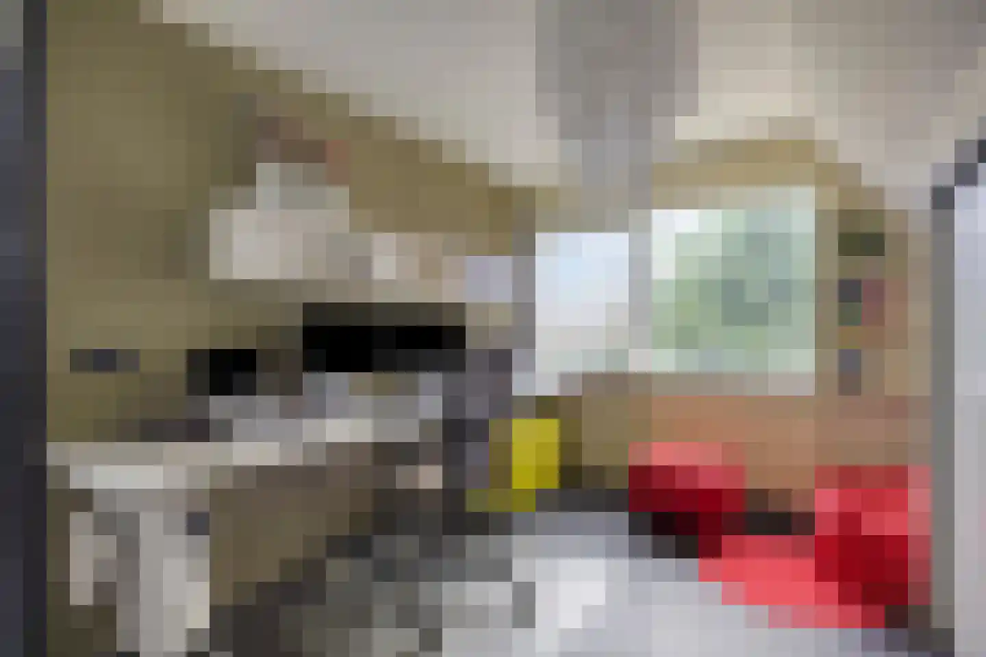 Koningsweg 53 A Puiflijk thumbnail 26