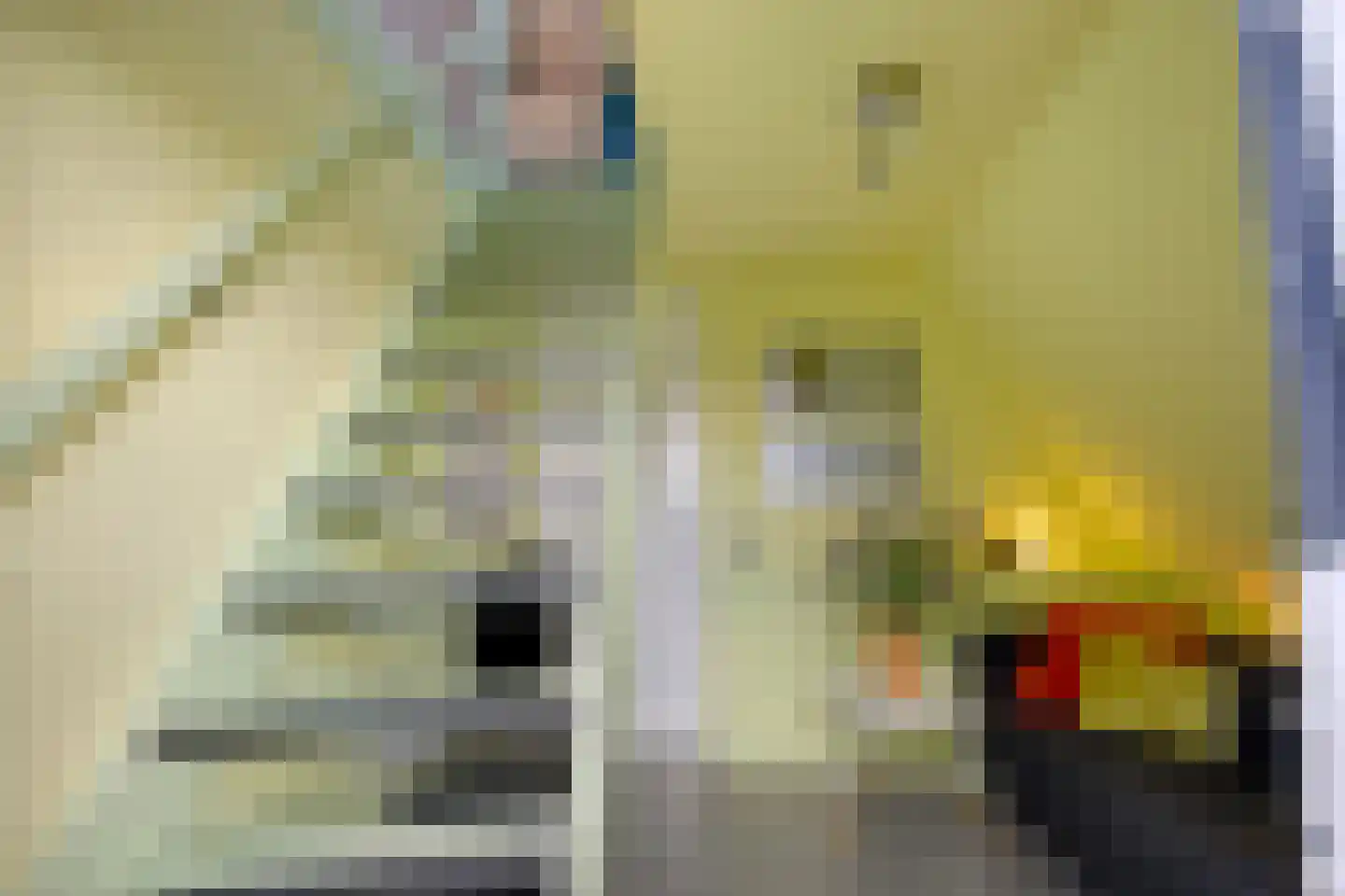 Koningsweg 53 A Puiflijk thumbnail 29