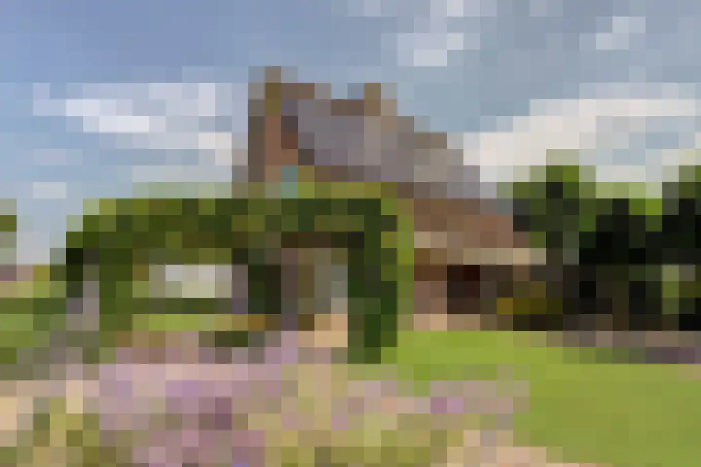 Koningsweg 53 A Puiflijk foto 3