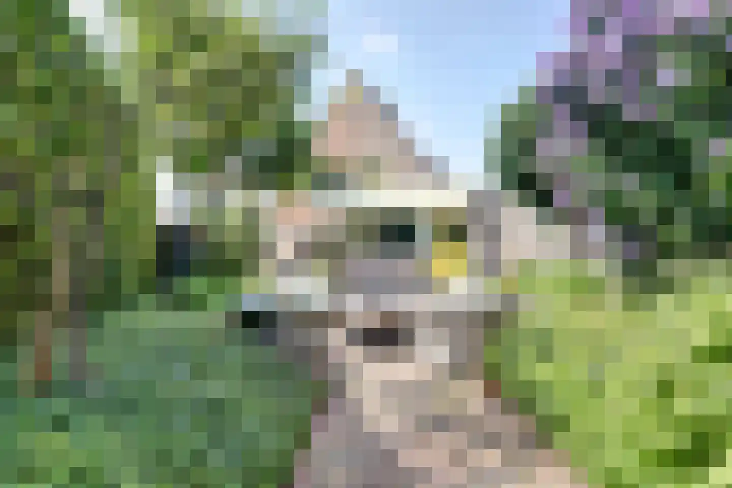 Koningsweg 53 A Puiflijk thumbnail 34