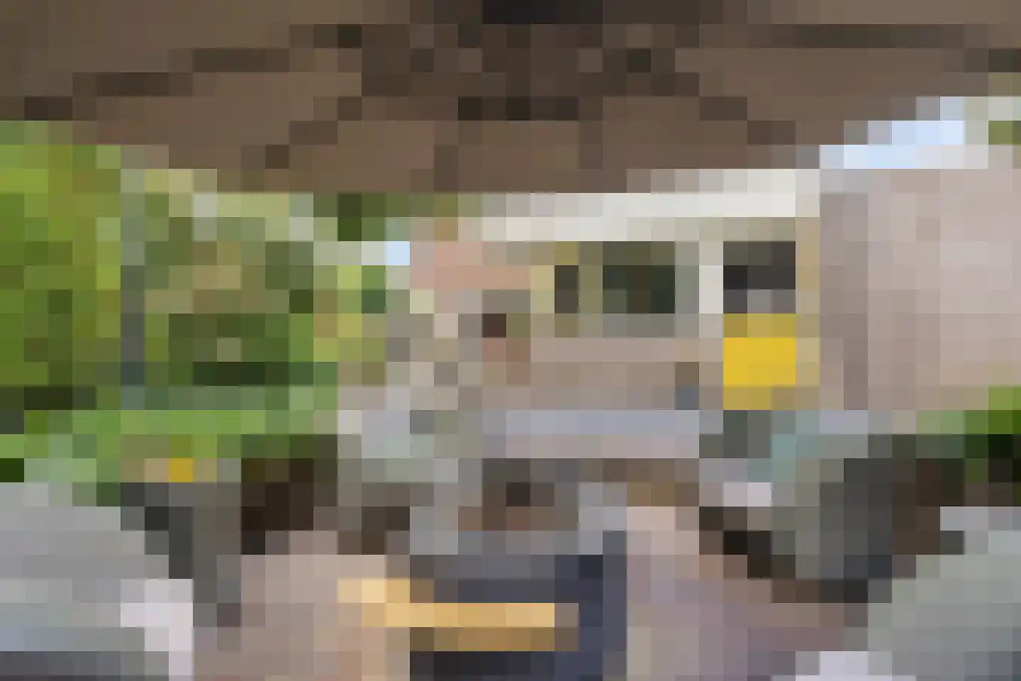 Koningsweg 53 A Puiflijk thumbnail 37