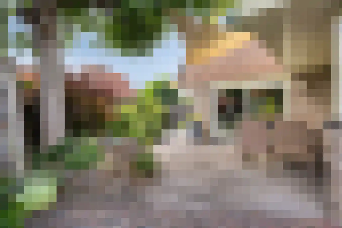 Koningsweg 53 A Puiflijk thumbnail 38