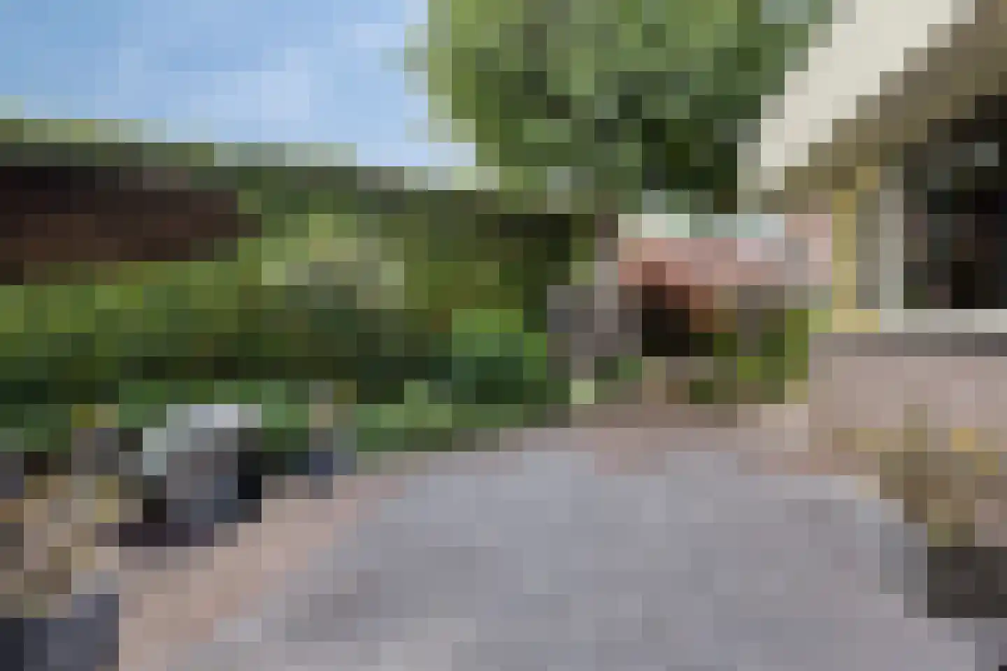 Koningsweg 53 A Puiflijk thumbnail 39