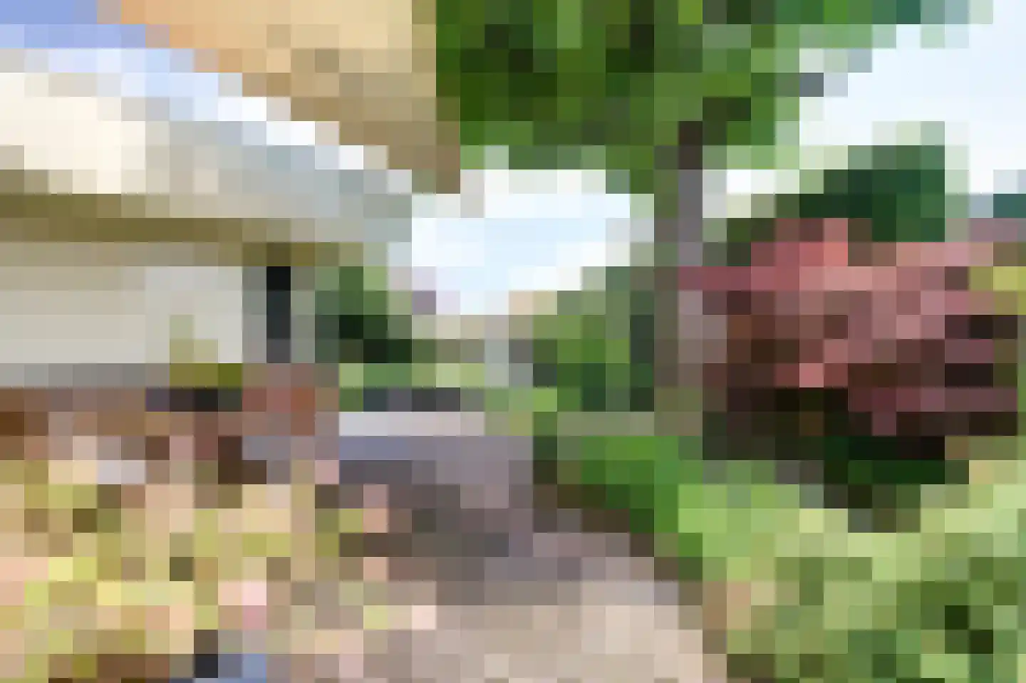 Koningsweg 53 A Puiflijk thumbnail 40