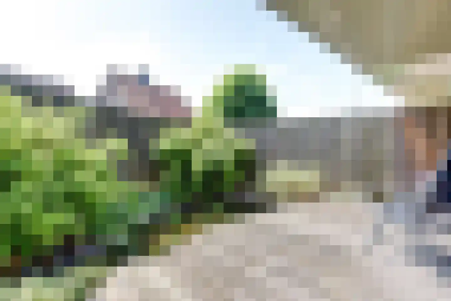 Koningsweg 53 A Puiflijk thumbnail 42
