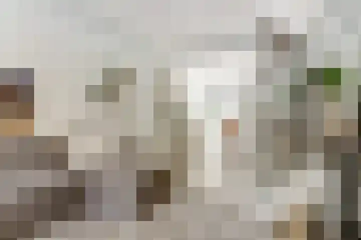 Koningsweg 53 Alkmaar thumbnail 12