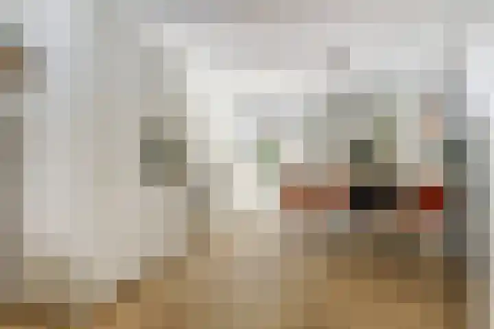 Koningsweg 53 Alkmaar thumbnail 13