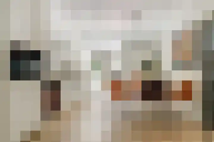Koningsweg 53 Alkmaar thumbnail 16