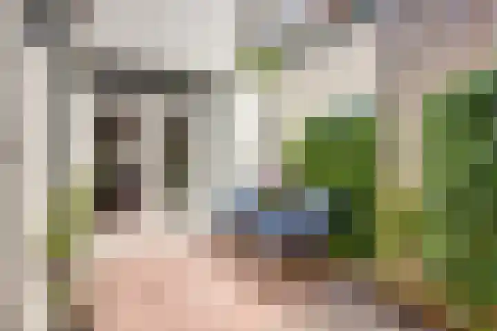 Koningsweg 53 Alkmaar thumbnail 20
