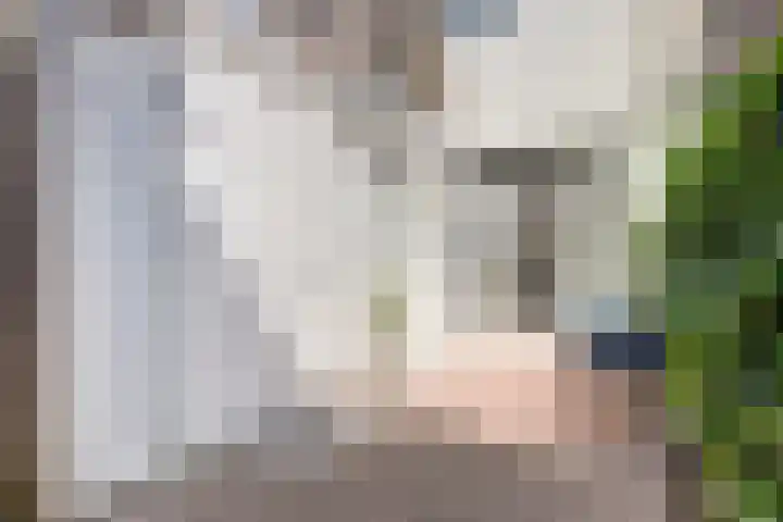 Koningsweg 53 Alkmaar thumbnail 21