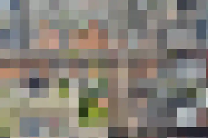 Koningsweg 53 Alkmaar thumbnail 30