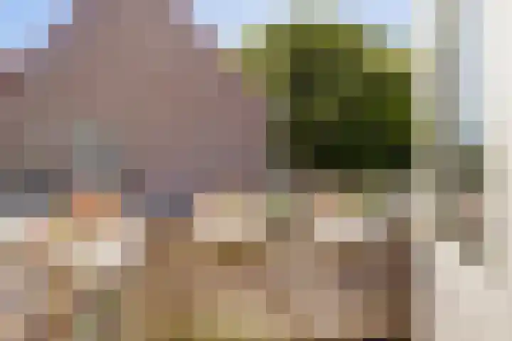 Koningsweg 53 Alkmaar thumbnail 34