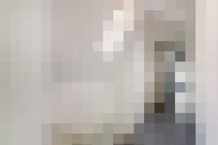 Koningsweg 53 Alkmaar thumbnail 37