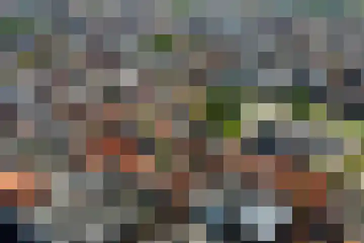 Koningsweg 53 Alkmaar thumbnail 47