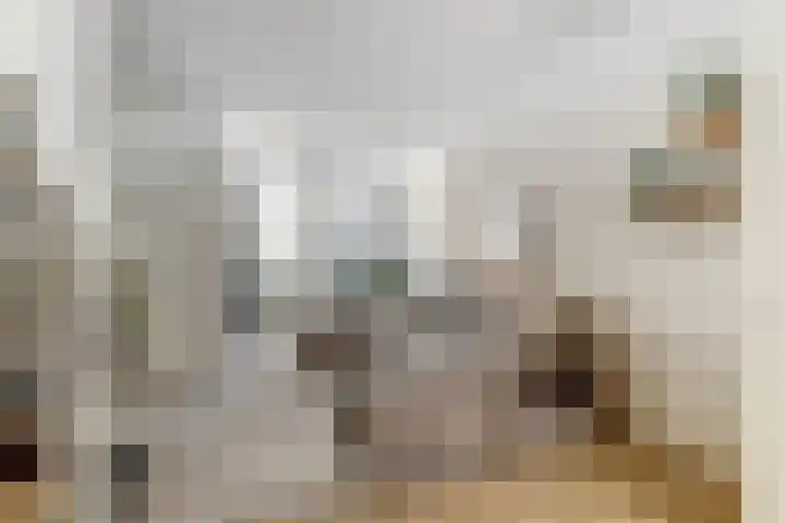 Koningsweg 53 Alkmaar thumbnail 9