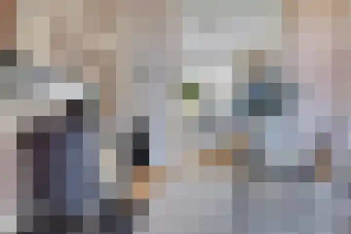Koningsweg 55 's-Hertogenbosch thumbnail 12