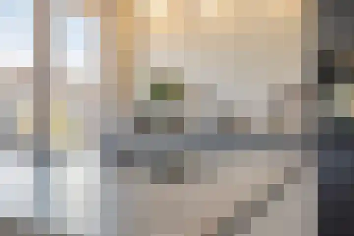 Koningsweg 55 's-Hertogenbosch thumbnail 16