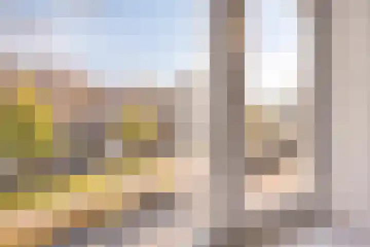 Koningsweg 55 's-Hertogenbosch thumbnail 18