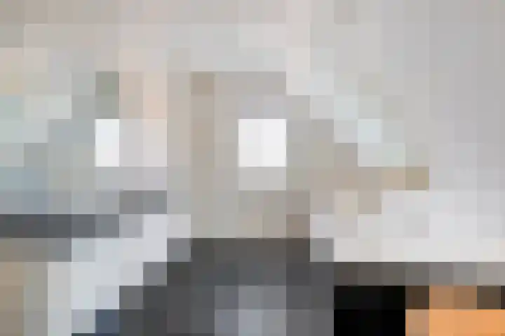 Koningsweg 55 's-Hertogenbosch thumbnail 31
