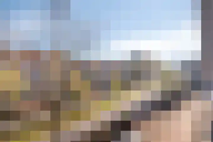 Koningsweg 55 's-Hertogenbosch thumbnail 35