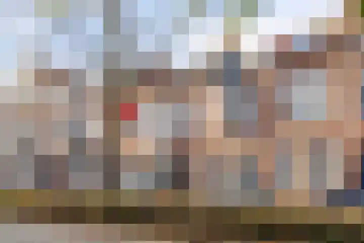 Koningsweg 55 's-Hertogenbosch thumbnail 36