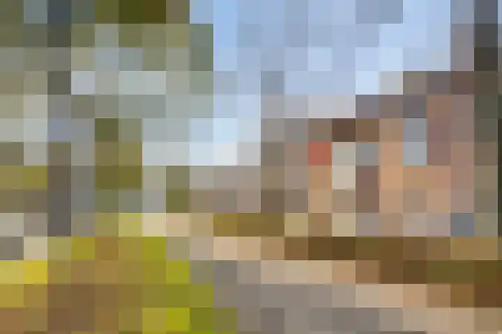Koningsweg 55 's-Hertogenbosch thumbnail 38