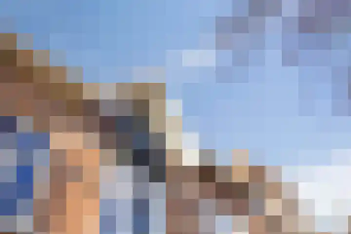 Koningsweg 55 's-Hertogenbosch thumbnail 39
