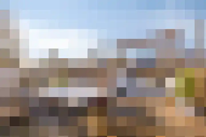 Koningsweg 55 's-Hertogenbosch thumbnail 4