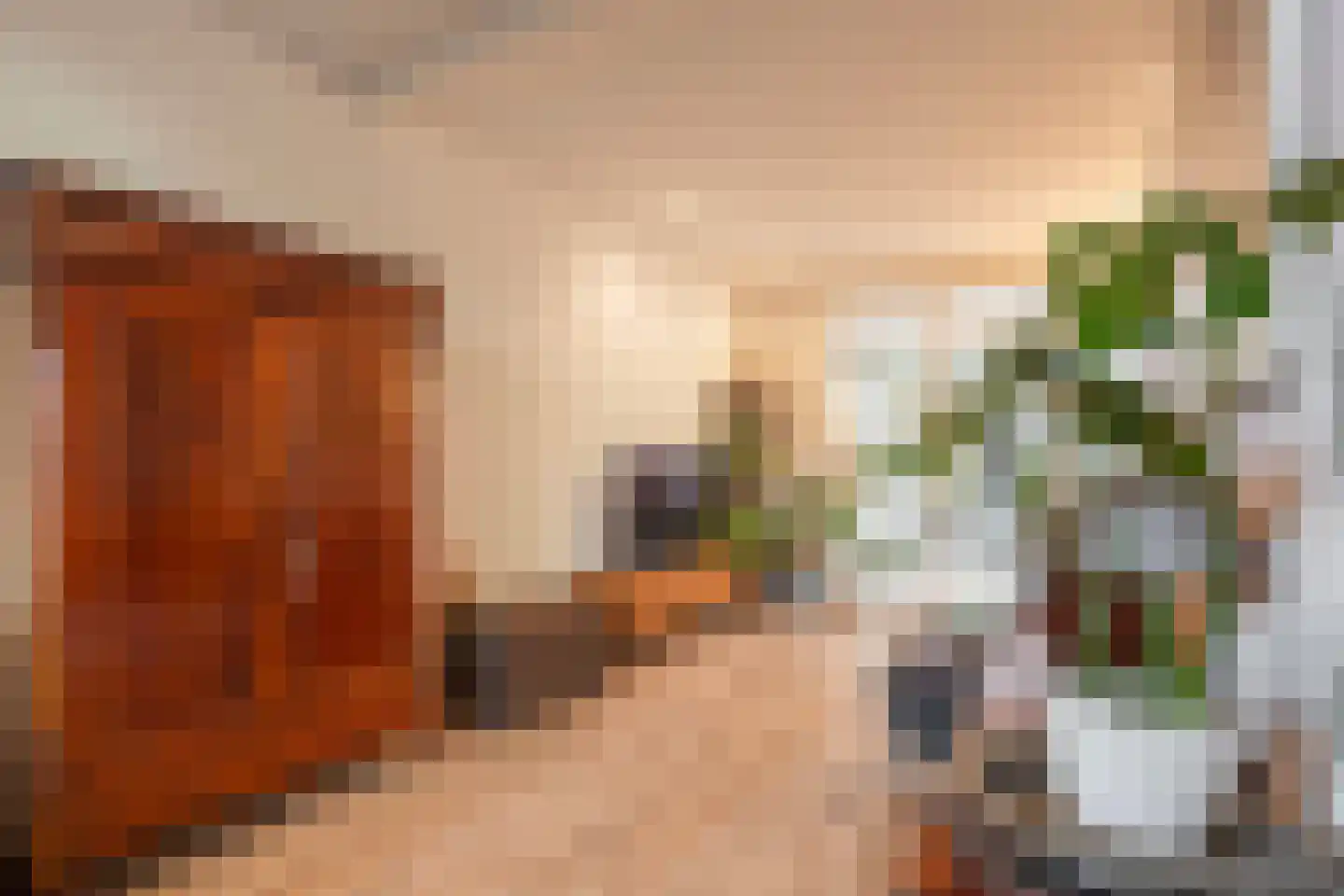 Koningsweg 55 Utrecht thumbnail 11