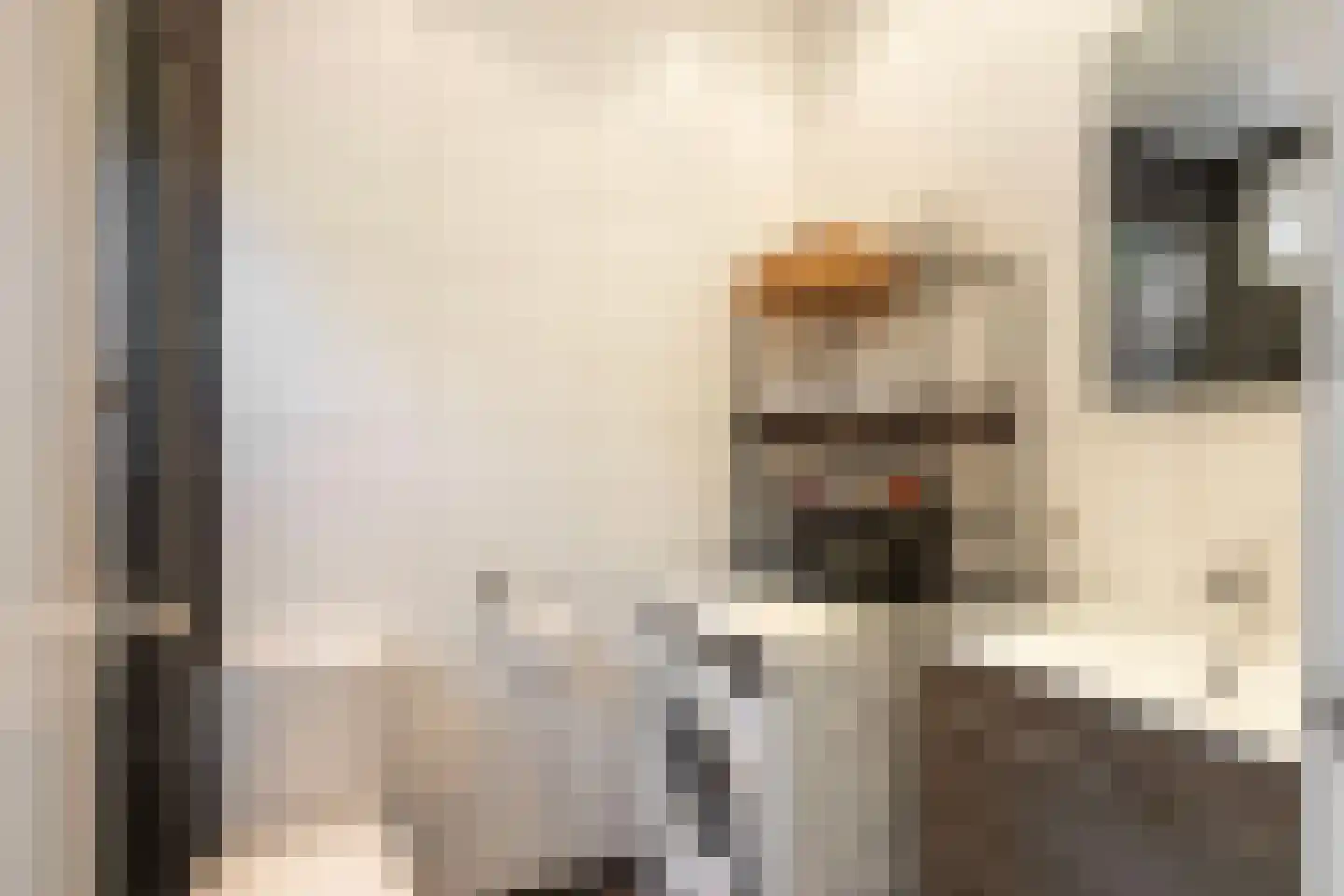 Koningsweg 55 Utrecht thumbnail 19
