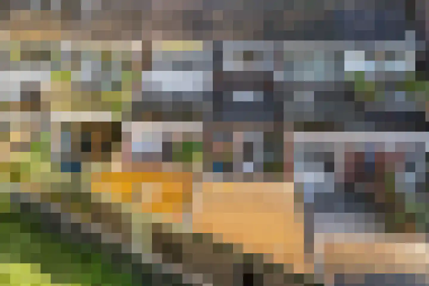 Koningsweg 55 Utrecht thumbnail 6