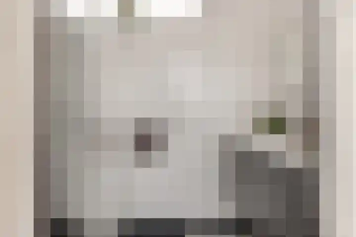 Koningsweg 59 Alkmaar thumbnail 18