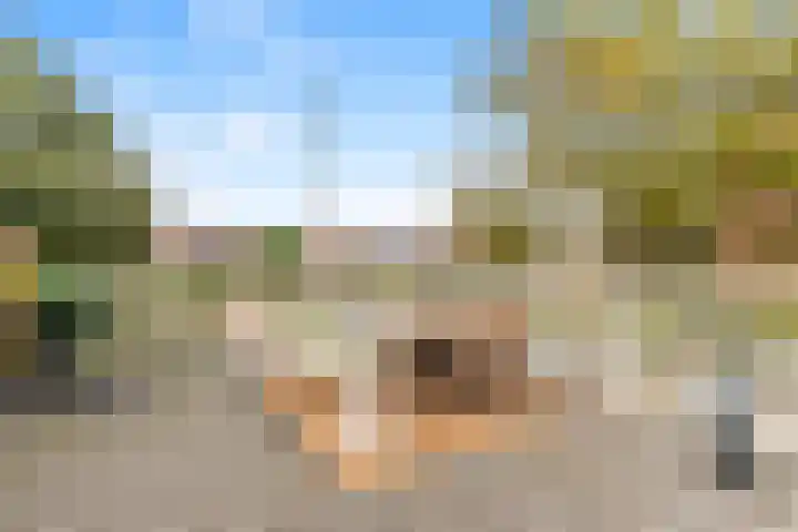 Koningsweg 59 Alkmaar thumbnail 32