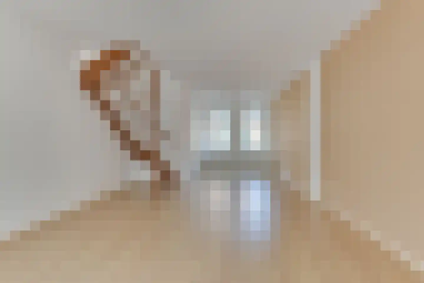Koningsweg 60 Alkmaar thumbnail 4