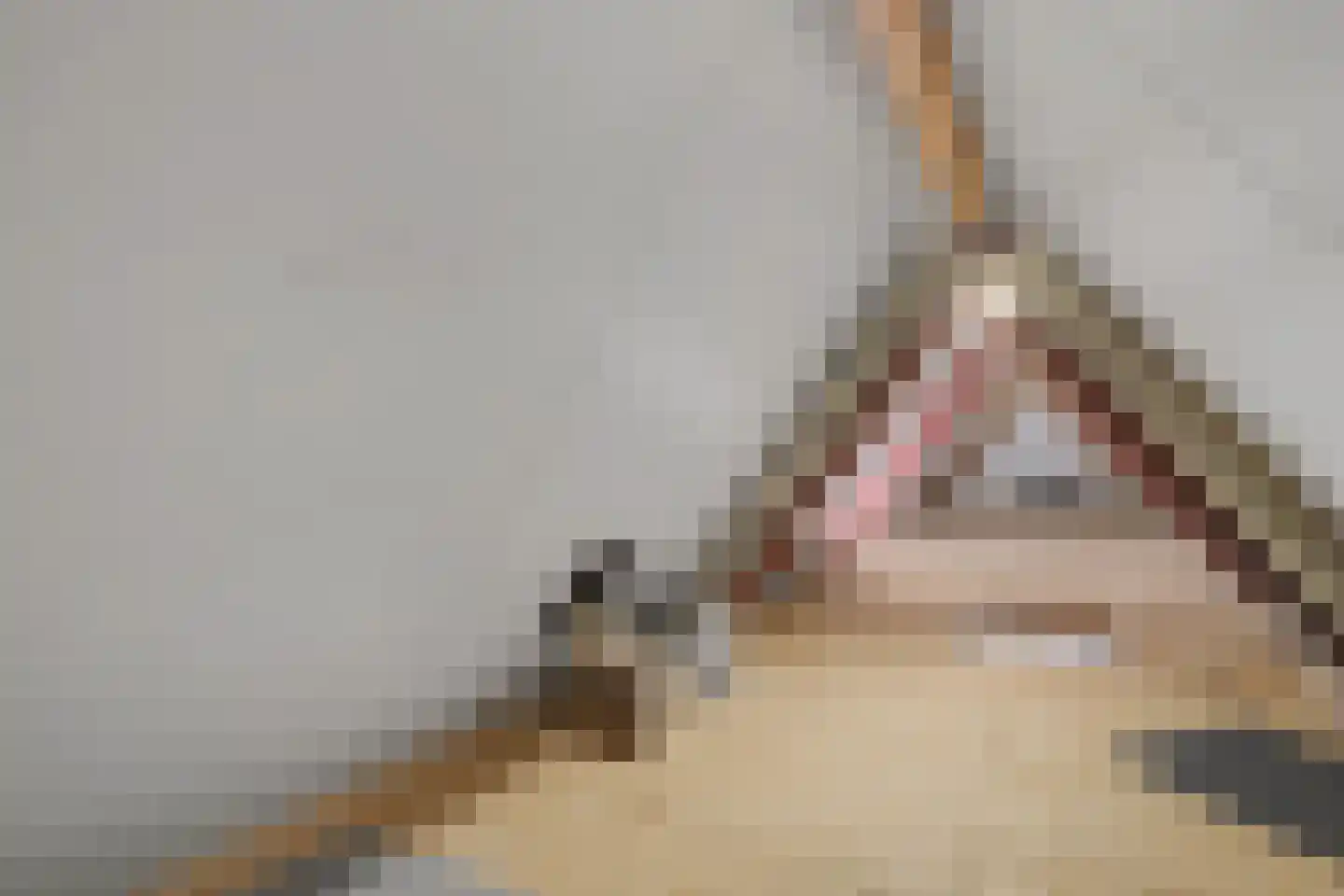 Koningsweg 62 Alkmaar thumbnail 27