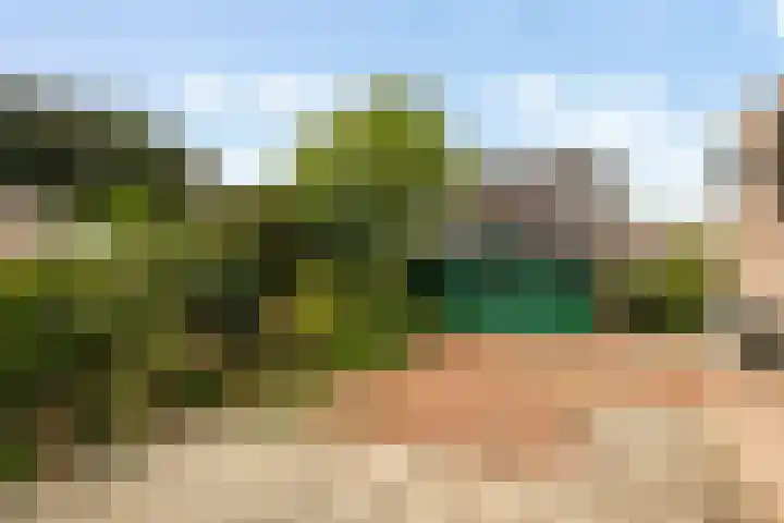 Koningsweg 62 c Geldermalsen thumbnail 10