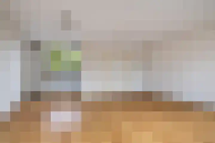 Koningsweg 62 c Geldermalsen thumbnail 14