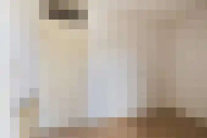 Koningsweg 62 c Geldermalsen thumbnail 18