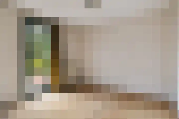 Koningsweg 62 c Geldermalsen thumbnail 23