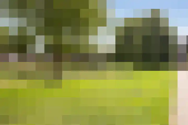 Koningsweg 62 c Geldermalsen thumbnail 31